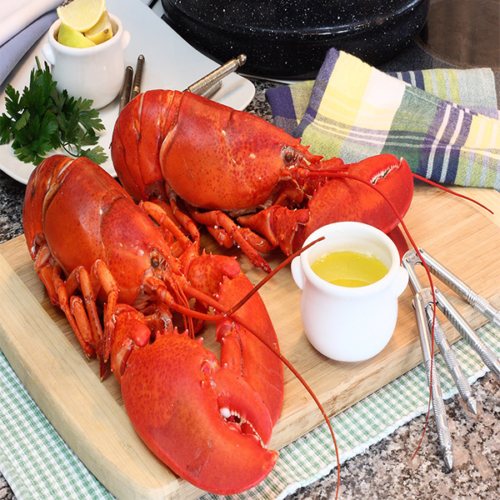 Lobsters